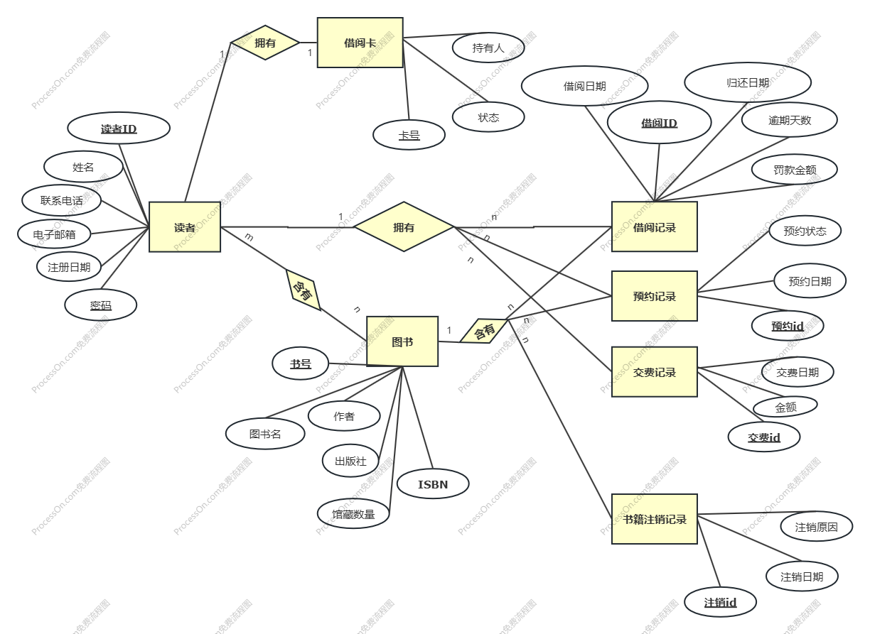 image-20250206141245965